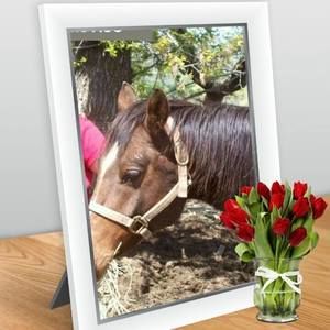 Meet your Posher, Rose